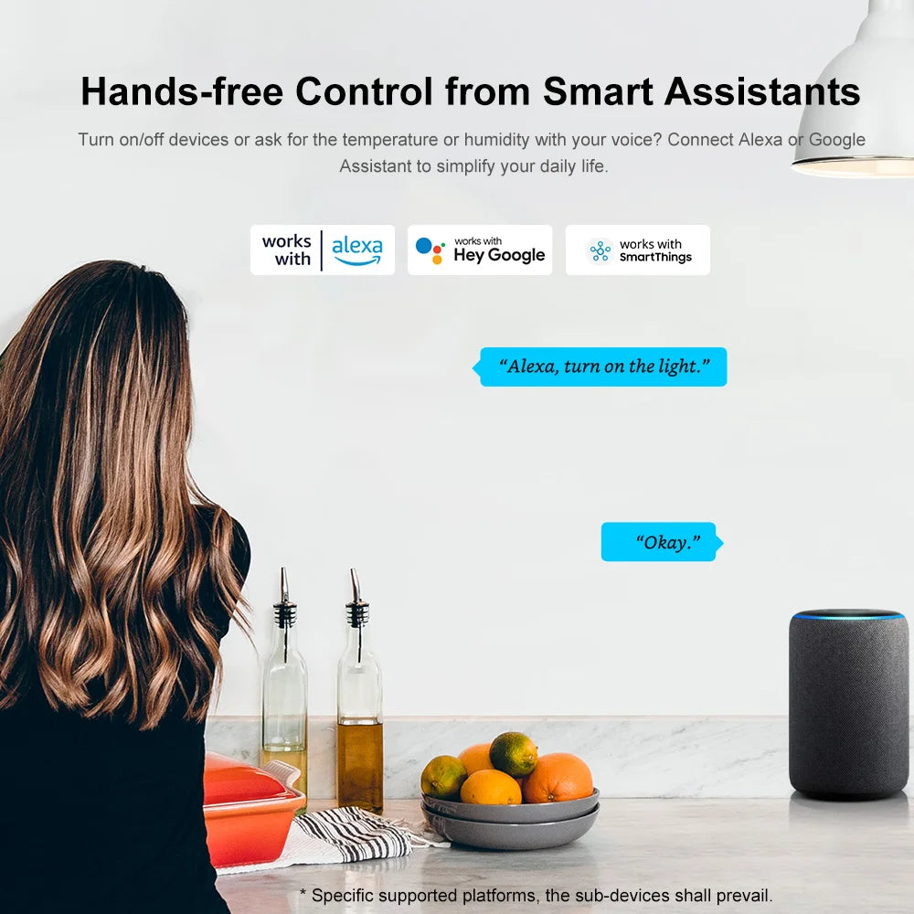 Pro Smart Hub Gateway – Advanced WiFi Bridge, Alexa & Google Home