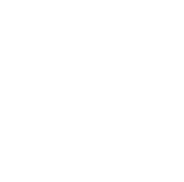 feature-item-3